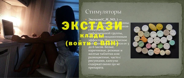 СК Алексин