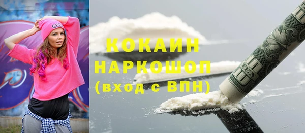 СК Алексин