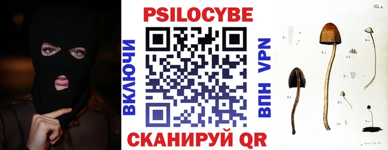 Галлюциногенные грибы Cubensis Байкальск